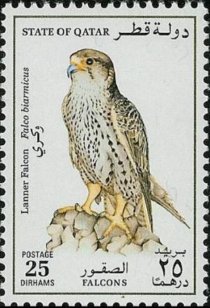 Colnect-745-804-Lanner-Falcon-Falco-biarmicus.jpg