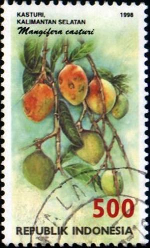 Colnect-940-835-Flora-and-Fauna--Mangifera-casturi.jpg