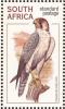 Colnect-1759-613-Lanner-Falcon-Falco-biarmicus.jpg