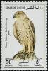 Colnect-745-805-Saker-Falcon-Falco-cherrug.jpg