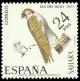 Colnect-1385-446-Lanner-Falcon-Falco-biarmicus-.jpg