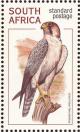 Colnect-1759-613-Lanner-Falcon-Falco-biarmicus.jpg