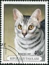 Colnect-2618-417-Ocicat-Felis-silvestris-catus.jpg