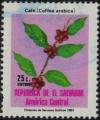 Colnect-3195-778-Cafe-Coffea-arabica.jpg