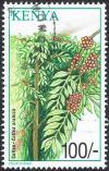 Colnect-3368-706-Coffee-Coffea-Arabica.jpg