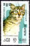 Colnect-4075-416-Tabby-Felis-silvestris-catus.jpg