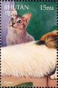 Colnect-3377-227-Ceylon-Felis-silvestris-catus.jpg