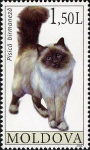 Colnect-737-318-Burmese-Felis-silvestris-catus.jpg