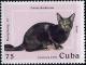 Colnect-2450-759-Korat-Felis-silvestris-catus.jpg