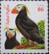 Colnect-4218-939-Tufted-Puffin-Fratercula-cirrhata-.jpg