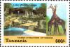 Colnect-6329-600-Giraffes-Giraffa-camelopardalis-Lobo-Park.jpg