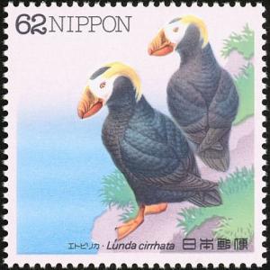 Colnect-608-830-Tufted-Puffin-Fratercula-cirrhata.jpg