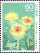 Colnect-2608-686-Safflowers-in-Bloom.jpg