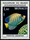 Colnect-1318-788-Regal-Angelfish-Pygoplites-diacanthus.jpg