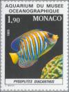 Colnect-149-159-Regal-Angelfish-Pygoplites-diacanthus.jpg