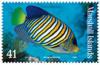 Colnect-1902-184-Regal-Angelfish-Pygoplites-diacanthus.jpg