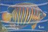 Colnect-3253-425-Regal-Angelfish-Pygoptiles-diacanthus.jpg