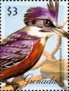 Colnect-5983-158-Ringed-Kingfisher-Megaceryle-torquata.jpg