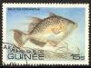 Colnect-965-761-Gray-Triggerfish-Balistes-carolinensis.jpg