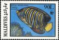 Colnect-1631-814-Regal-Angelfish-Pygoplites-diacanthus.jpg