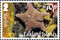 Colnect-2189-234-Biscuit-Starfish-Diplodontias-singularis.jpg