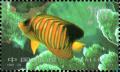 Colnect-2534-044-Regal-angelfish-Pygoplites-diacanthus.jpg