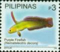 Colnect-2914-126-Purple-Firefish-Nemateleotris-decora-.jpg