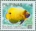 Colnect-2914-127-Blueface-Angelfish-Euxiphipops-xanthometapon.jpg