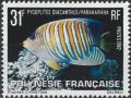 Colnect-3222-147-Regal-Angelfish-Pygoplites-diacanthus.jpg