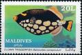 Colnect-4172-540-Clown-Triggerfish-Balistoides-conspicillum.jpg