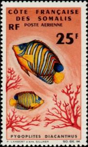 Colnect-806-423-Regal-Angelfish-Pygoplites-diacanthus.jpg