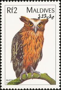 Colnect-1631-929-Buffy-Fish-owl-Ketupa-ketupu.jpg