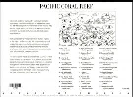 Colnect-6111-236-Pacific-Coral-Reef-back.jpg