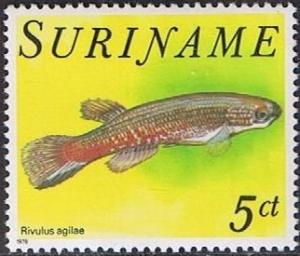 Colnect-1252-469-Killifish-Rivulus-agilae-.jpg