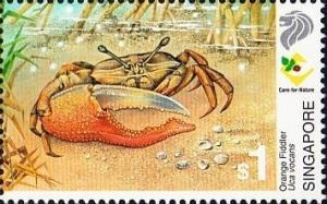 Colnect-1425-836-Orange-Fiddler-Crab-Uca-vocans.jpg