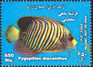 Colnect-1592-470-Regal-Angelfish-Pygoplites-diacanthus.jpg