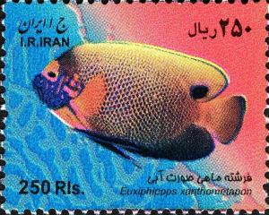 Colnect-1592-705-Blueface-Angelfish-Euxiphipops-xanthometapon.jpg