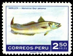 Colnect-1597-391-South-Pacific-Hake-Merluccius-gayi-.jpg