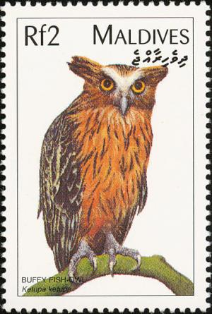 Colnect-1631-929-Buffy-Fish-owl-Ketupa-ketupu.jpg