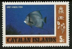 Colnect-1675-680-Gray-Angelfish-Pomacanthus-arcuatus.jpg