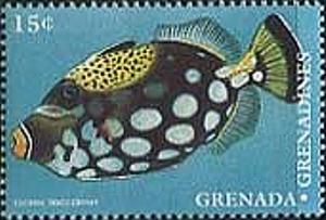 Colnect-2420-097-Clown-Triggerfish-Balistoides-conspicillum.jpg