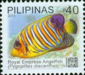 Colnect-2914-139-Regal-Angelfish-Pygoplites-diacanthus.jpg