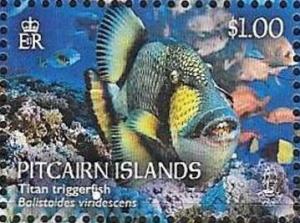 Colnect-4802-740-Titan-triggerfish-Balistoides-viridescens.jpg