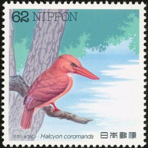 Colnect-608-835-Ruddy-Kingfisher-Halcyon-coromanda.jpg