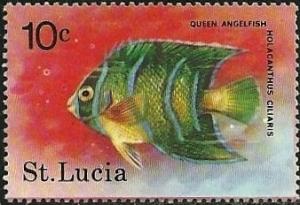 Colnect-859-511-Queen-Angelfish-Holacanthus-ciliaris.jpg