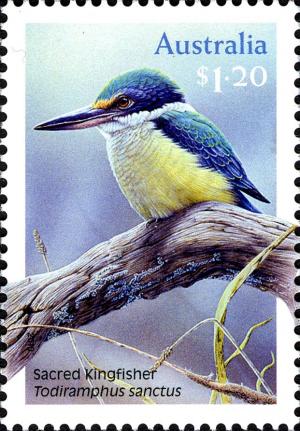 Colnect-910-788-Sacred-Kingfisher-Todiramphus-sanctus.jpg