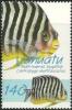 Colnect-1239-776-Multibar-Angelfish-Centropyge-multifasciatus.jpg