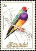 Colnect-2651-961-Gouldian-Finch-Erythrura-gouldiae.jpg