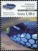 Colnect-3128-248-Clown-Triggerfish-Balistoides-conspicillum.jpg