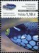 Colnect-3128-248-Clown-Triggerfish-Balistoides-conspicillum.jpg